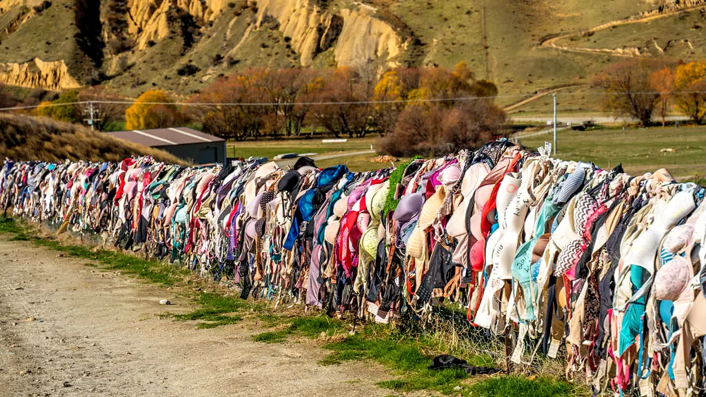 Breast Surgery Hamilton New Zealand   lose the bra