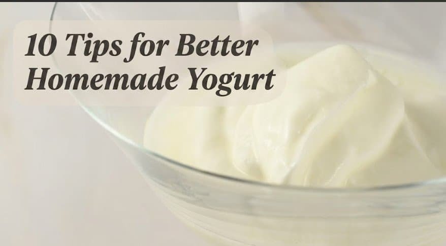 10 Tips for Making Better Homemade Yogurt Every Time