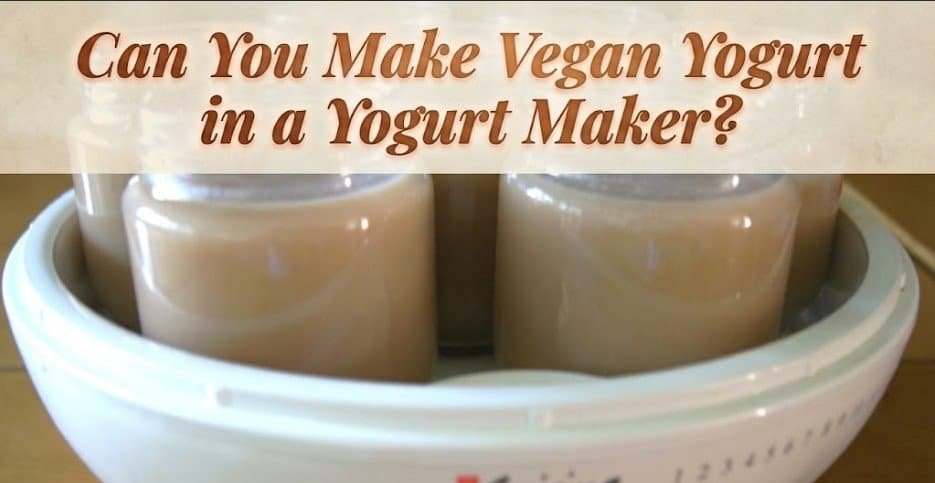 Can You Make Vegan Yogurt in a Yogurt Maker?