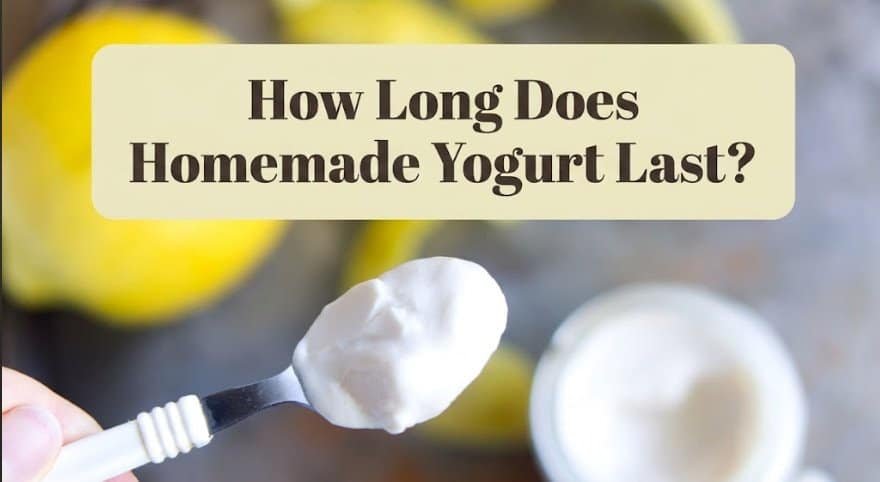 How Long Does Homemade Yogurt Last