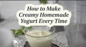 How to Make Creamy Homemade Yogurt Every Time