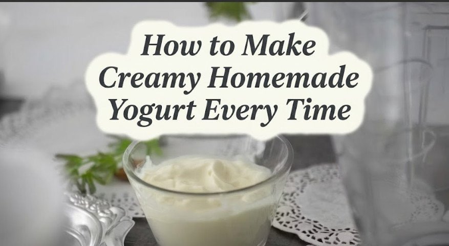 How to Make Creamy Homemade Yogurt Every Time