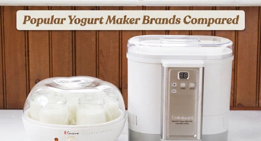 Popular Yogurt Maker Brands Compared