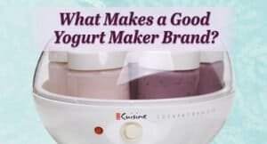 What Makes a Good Yogurt Maker Brand?