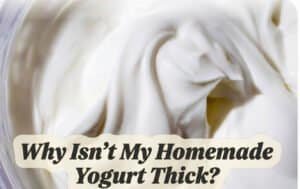 Why Isn't My Homemade Yogurt Thick?