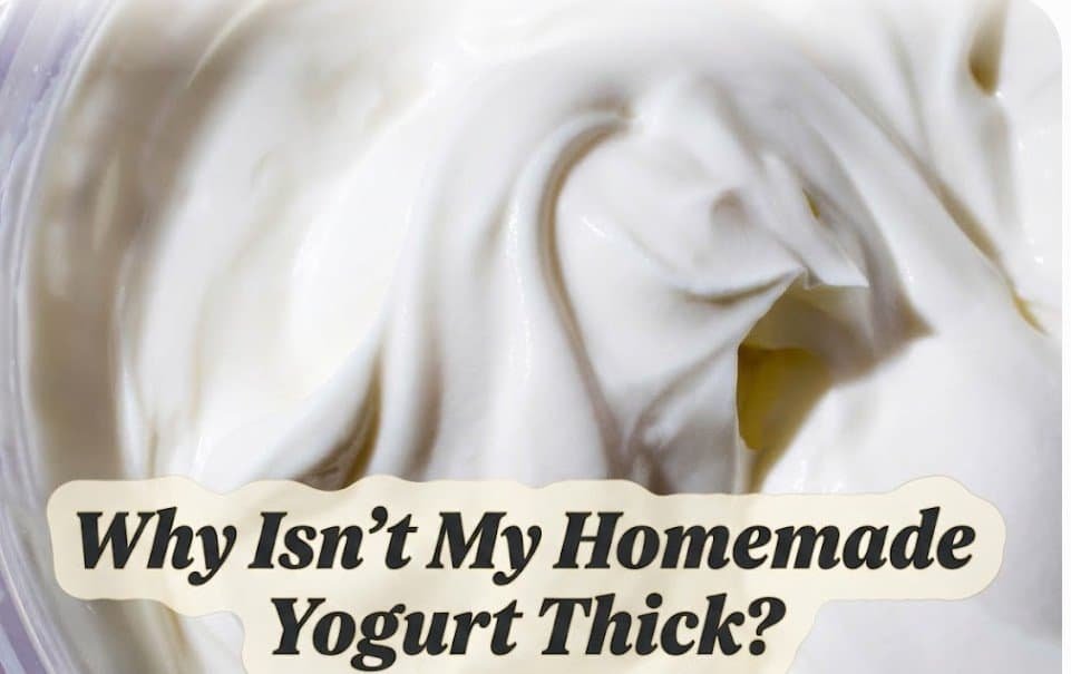 Why Isn't My Homemade Yogurt Thick?