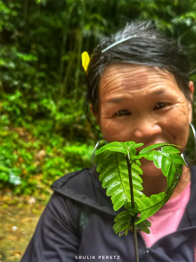 סיור אצל מאמא סי