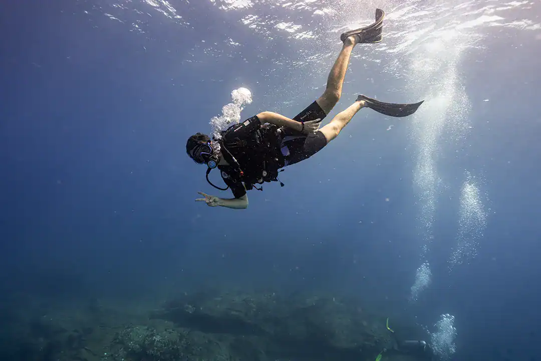 צלילות דה נאנג