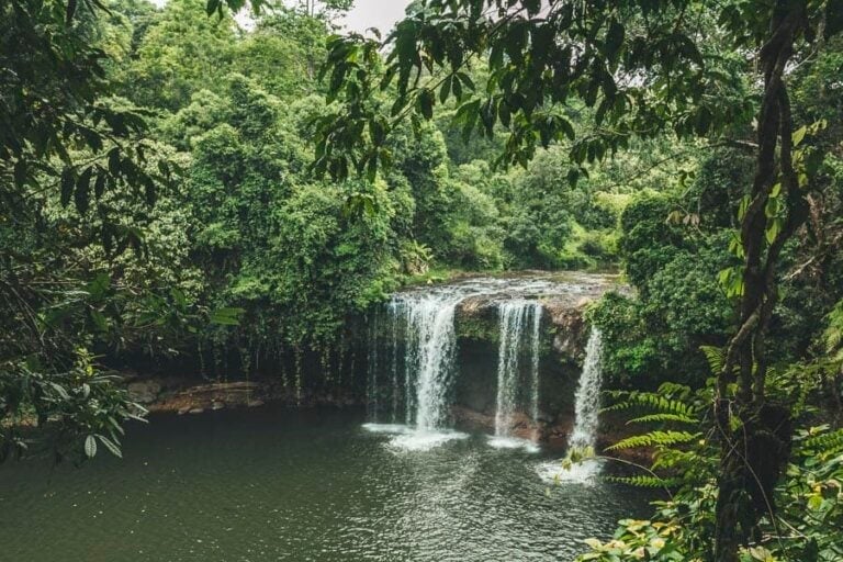 Pakse-19-Tad-Champee-Waterfall-3