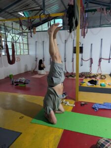 Swaraj Yoga יוגה בדרמסלה הודו איסטקארד