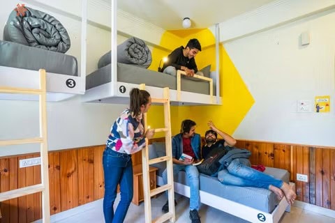 Zostel kasol הוסטלים בקסאול, הודו איסטקארד