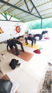 om yoga goa יוגה באוגה, הודו איסטקארד