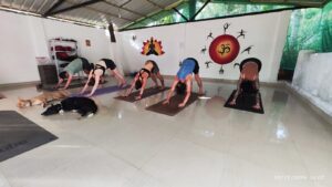 om yoga goa יוגה באוגה, הודו איסטקארד