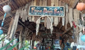 השכרת סאפ ב־Freedom Bar, Hin Wong Bay, קו טאו – בר חוף באווירה רגועה