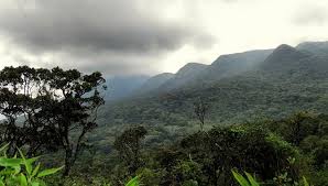 סיור ביערות הגשם בסרי לנקה איסטקארד