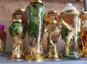 חוויה מסורתית לייצור יין אורז – בקבוקי יין צמחי מרפא בכפר הווייטנאמי – איסטקארד