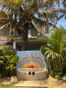 אמבטית קרח Tahini and Friends - איסט קארד