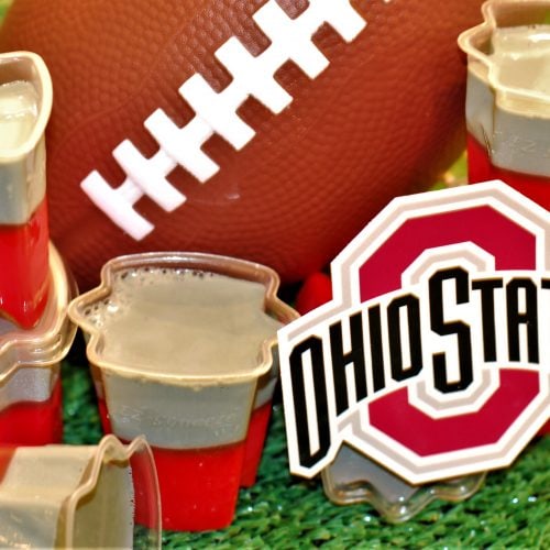 Ohio State Buckeyes Jello Shots