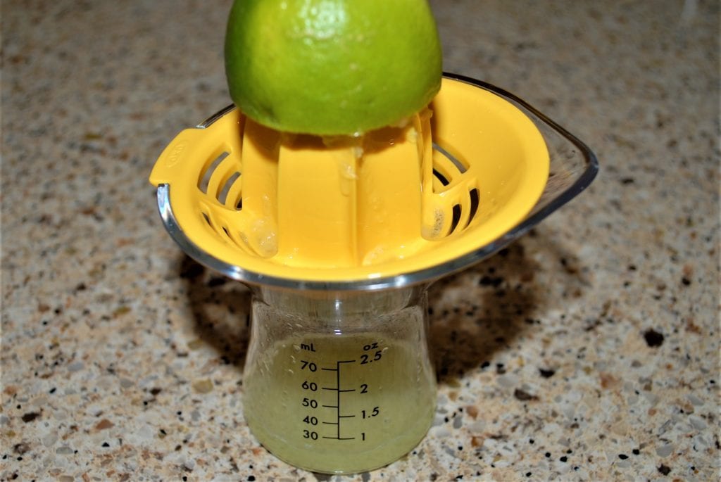 Citrus Juicer