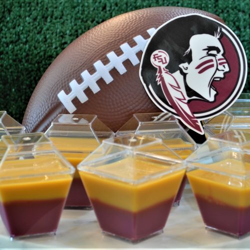 Jello Shots every TRUE Florida State Seminoles Fan needs to try!