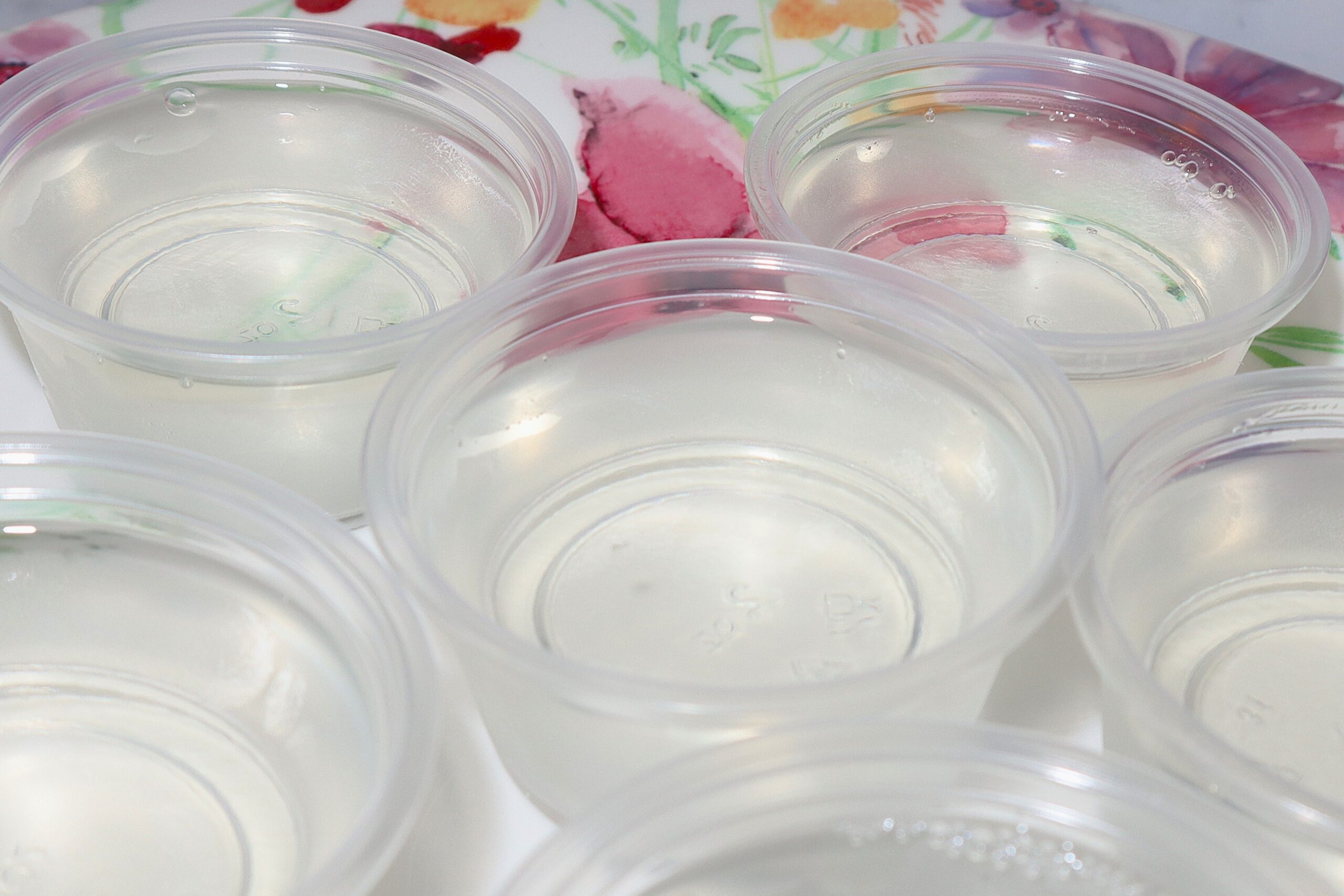 Clear Coconut Jello Shots