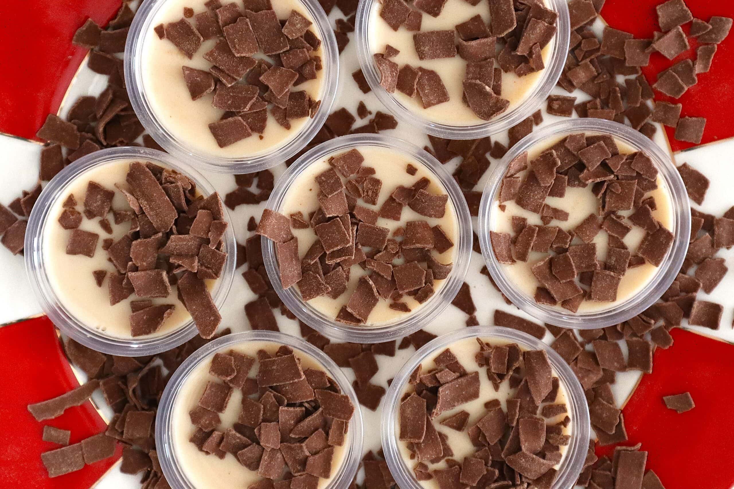 Peppermint Bark Jello Shots with bits of chocolate garnish