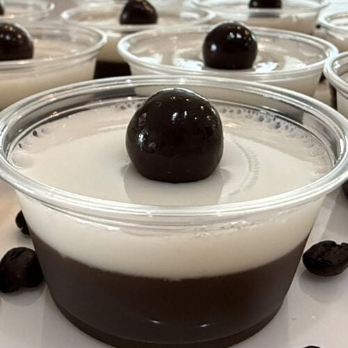 Espresso & Cream Vodka Martini Jello Shot with a chocolate covered espresso bean