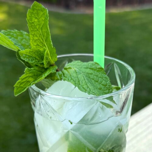 The Only Mojito Recipe You'll Ever Need: Cool, Crisp and Classic