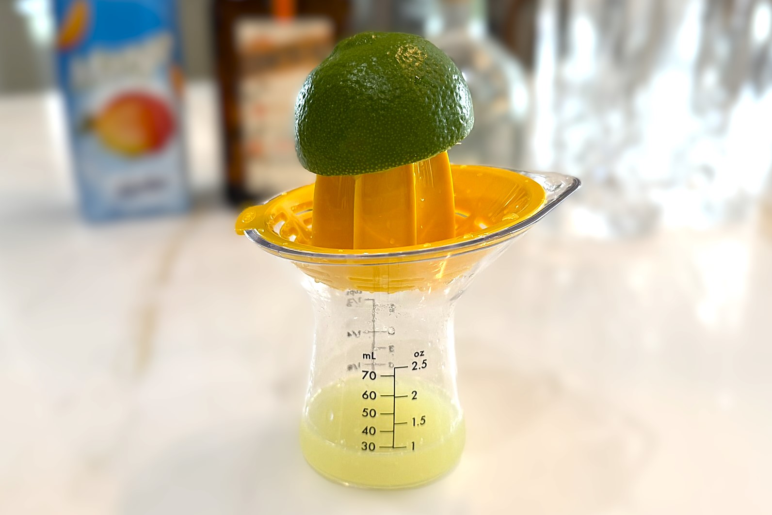 Citrus Juicer