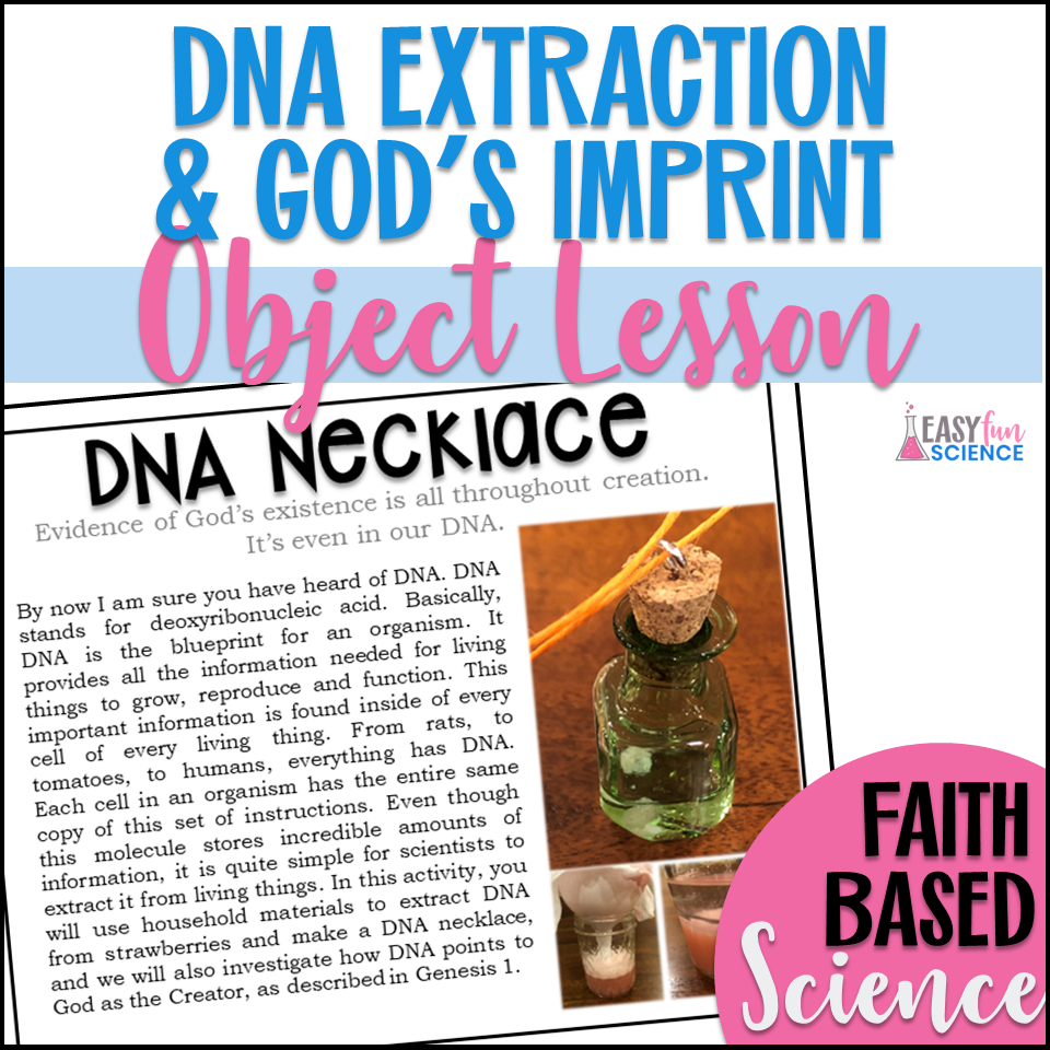 Strawberry DNA Extraction - Easy Fun Science