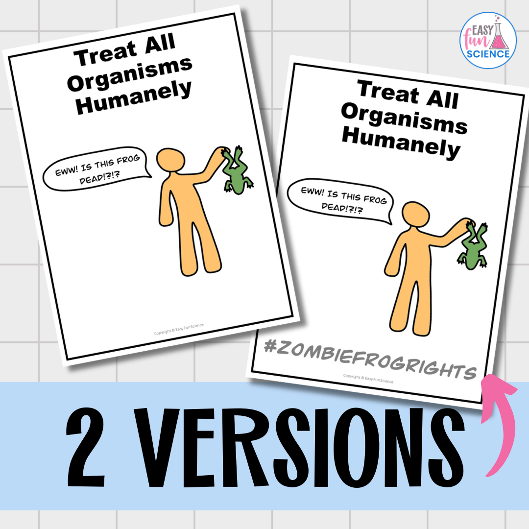 Lab Safety Rules Posters - Easy Fun Science