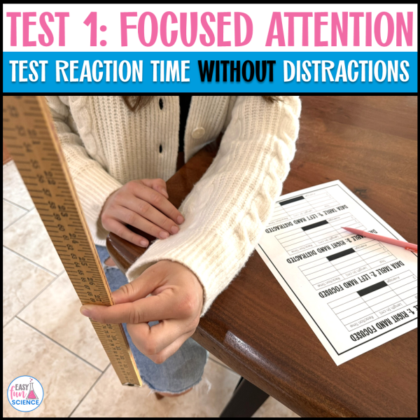 Testing Reaction Time with a Ruler Nervous System Activity - Easy Fun ...