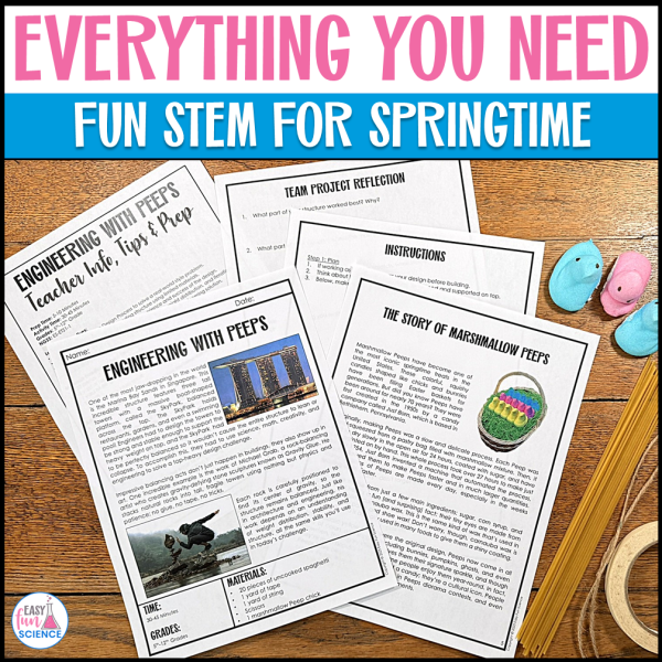 Peeps Project STEM Activity Creative Engineering Challenge for Middle ...