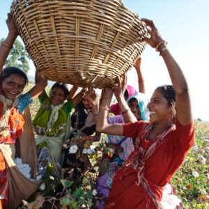 Designing Regenerative Communities – with Kosha Joubert