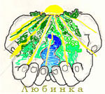project-image