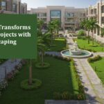 How eGarden Transforms Commercial Projects with Custom Landscaping