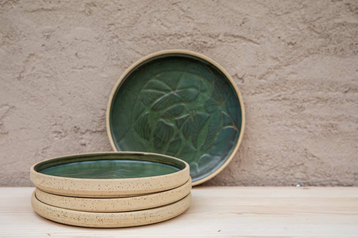 ⁦צלחות פרא ירוקות⁩ – תמונה ⁦11⁩