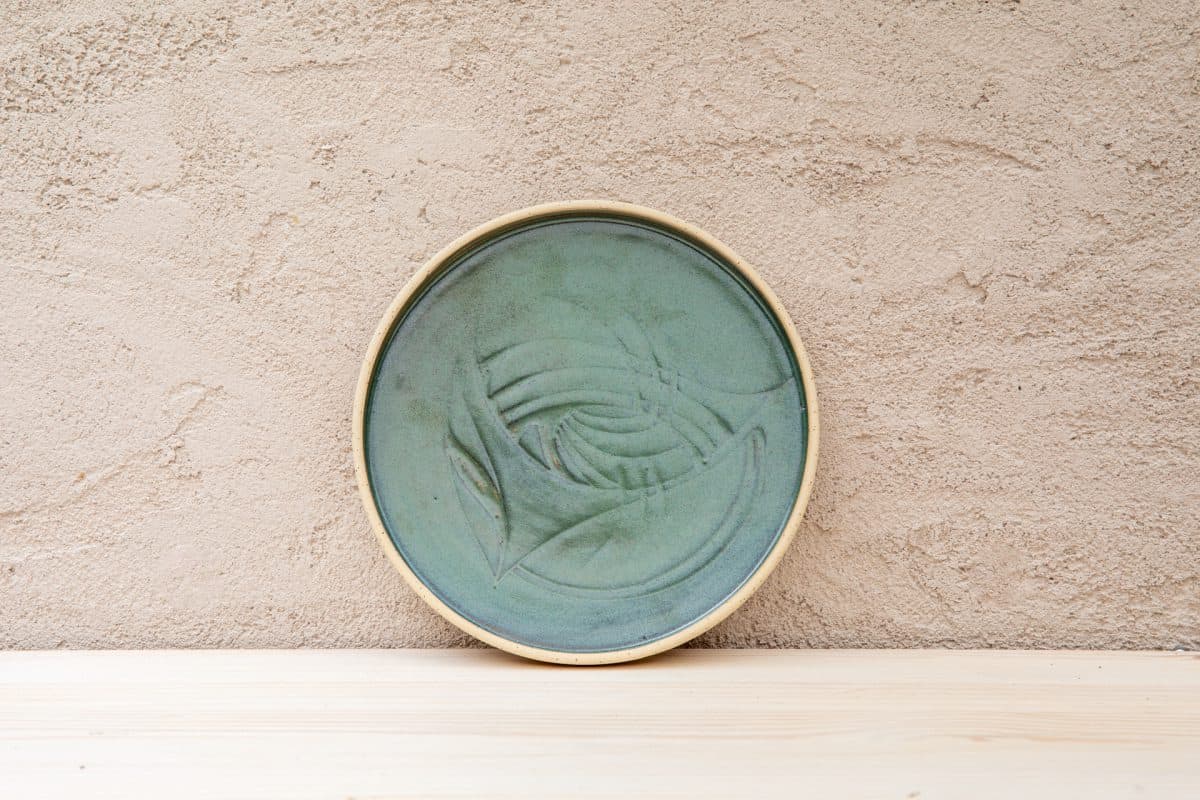 ⁦צלחות פרא ירוקות⁩ – תמונה ⁦9⁩