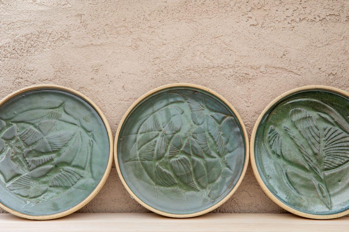 ⁦צלחות פרא ירוקות⁩ – תמונה ⁦4⁩