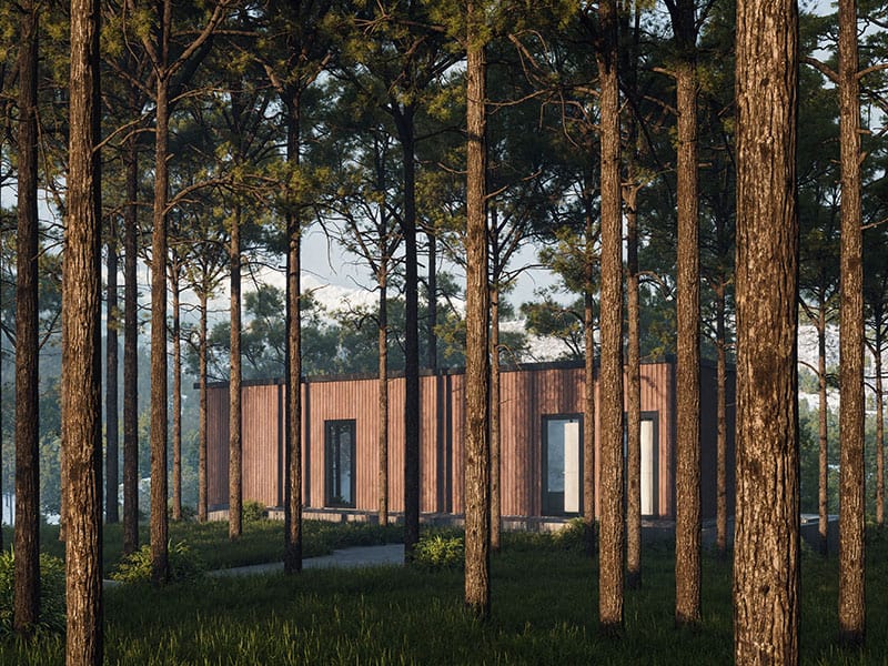 Modern eco-friendly cabin surrounded by tall pine trees in a lush forest setting.