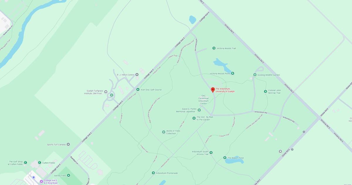 An overview of hiking trails and natural parks with marked paths, lakes, and points of interest in a green outdoor setting.