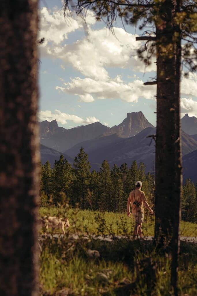 Hiker walking through a lush forest with towering mountains and a partly cloudy sky in the background, capturing the beauty of nature and outdoor adventure.