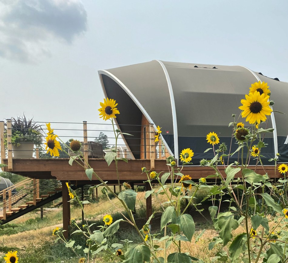 Tiny house on stilts with sunflower garden, outdoor deck, and modern design.