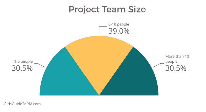 Project team size