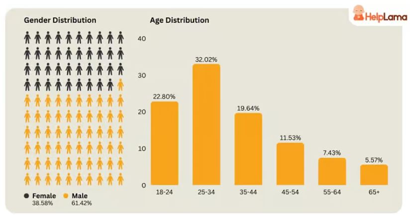 Stripe User Demographics