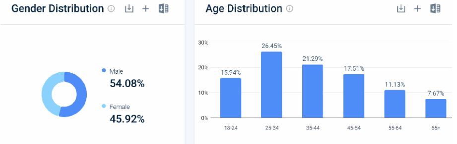 Google Maps Demographics