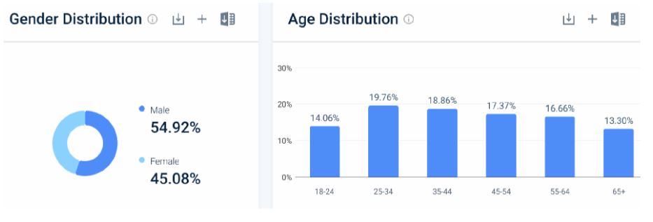 Norton Website Demographics