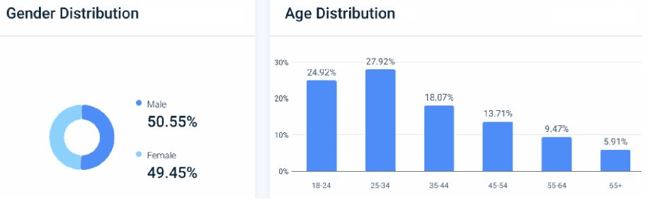 Piktochart-Website-Demographics
