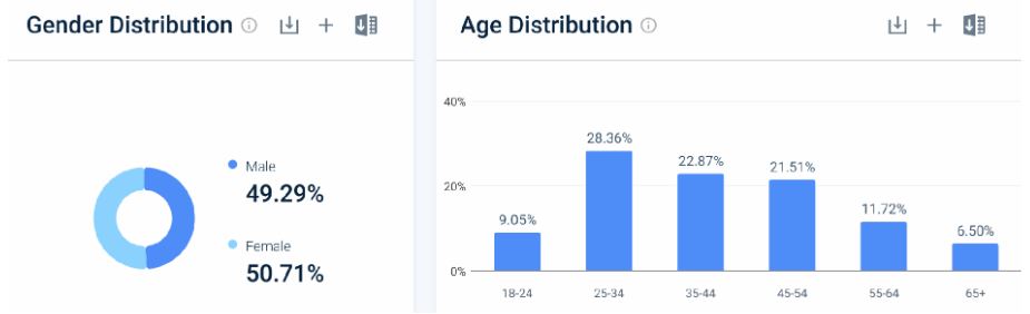 Power BI Website Demographics