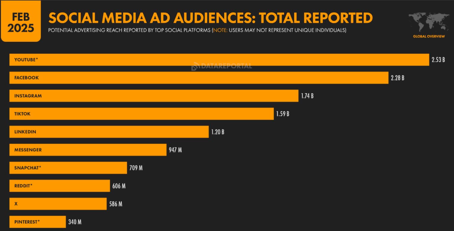 Social Media Ad Audience 